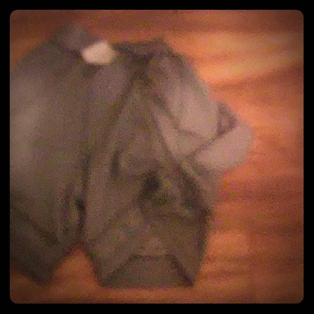 And 1 shorts